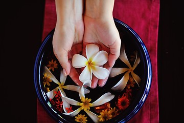 Image showing female hand and flower in water