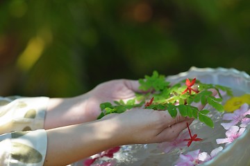 Image showing female hand and flower in water