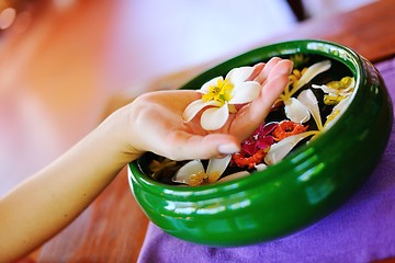 Image showing female hand and flower in water