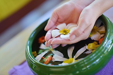 Image showing female hand and flower in water