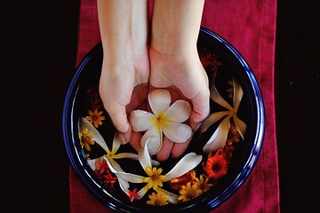 Image showing female hand and flower in water