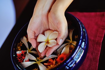 Image showing female hand and flower in water