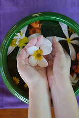 Image showing female hand and flower in water