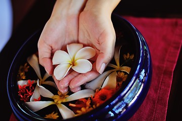 Image showing female hand and flower in water