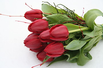 Image showing Tulips on white snow