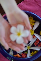 Image showing female hand and flower in water