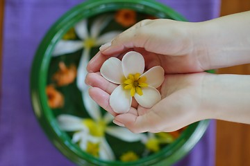 Image showing female hand and flower in water