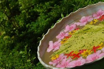 Image showing water cup with beautiful flowers background