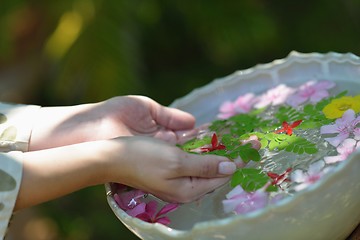 Image showing female hand and flower in water