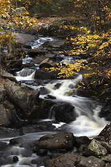 Image showing Fall Stream