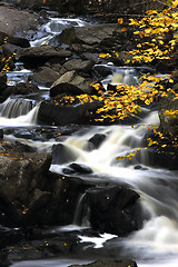 Image showing Fall Stream