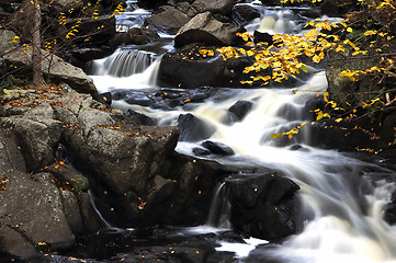 Image showing Fall Stream