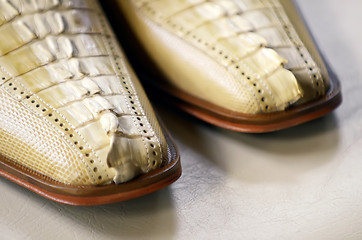 Image showing Crocoodile Shoes