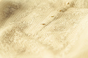 Image showing Barong Tagalog