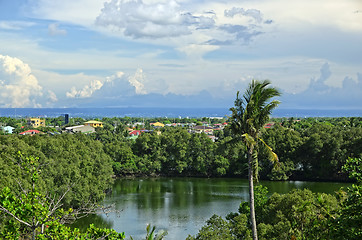 Image showing Mangrove Trees and Lagoon