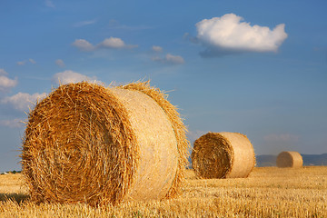 Image showing Field of freshly cut bales on farmer field