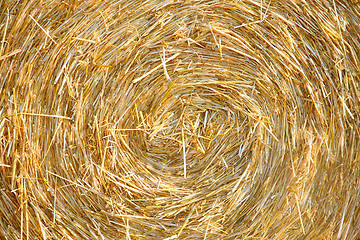 Image showing Detials close up shot of Wheat Haystack in farmer field