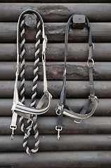 Image showing Details of diversity used horse reins