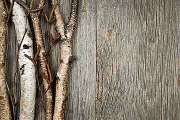 Image showing Birch branches background