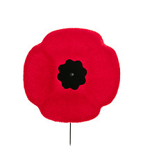 Image showing Remembrance Day poppy