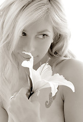 Image showing monochrome madonna lily #2