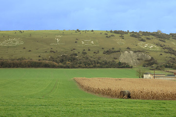 Image showing Hillside Emblems