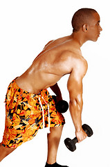 Image showing Exercising with dumbbells.