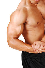 Image showing Biceps and chest.