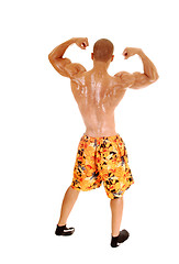 Image showing Bodybuilder from back.