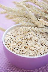 Image showing bowl of oats