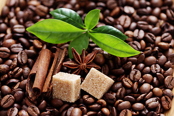 Image showing coffee beans