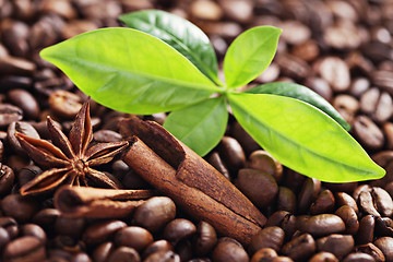 Image showing coffee beans