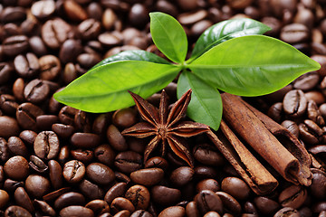 Image showing coffee beans