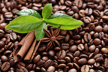 Image showing coffee beans