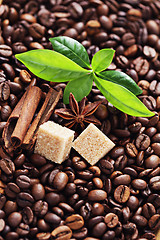 Image showing coffee beans