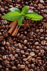 Image showing coffee beans