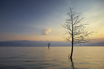 Image showing trees in lake