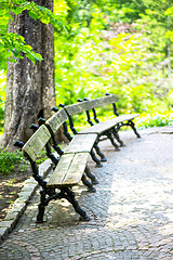 Image showing Bench in the park