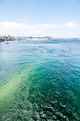 Image showing florida beach scene