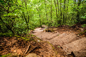 Image showing things you find on a hiking trail in state park