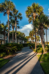 Image showing florida beach scene