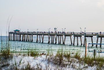 Image showing florida beach scene