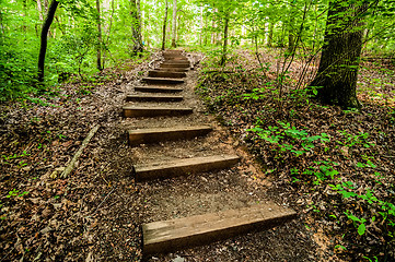 Image showing things you find on a hiking trail in state park