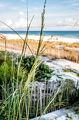 Image showing florida beach scene