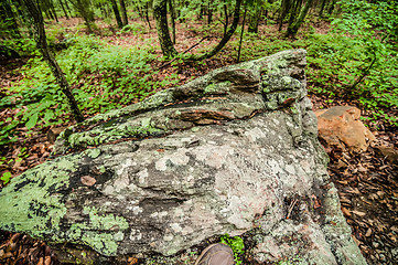 Image showing things you find on a hiking trail in state park