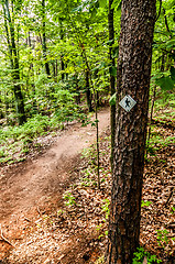 Image showing Hiking trail sign on the forest paths