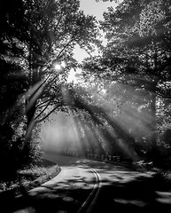 Image showing early morning on blue ridge parkway