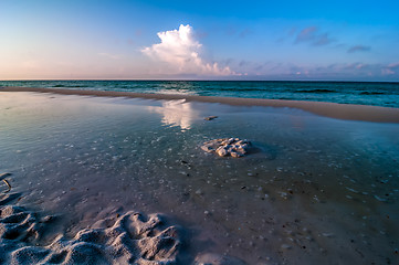 Image showing florida beach scene