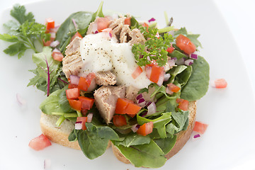 Image showing Open Tuna Salad Sandwich