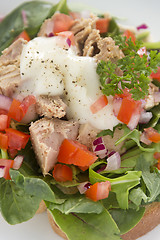 Image showing Open Tuna Salad Sandwich